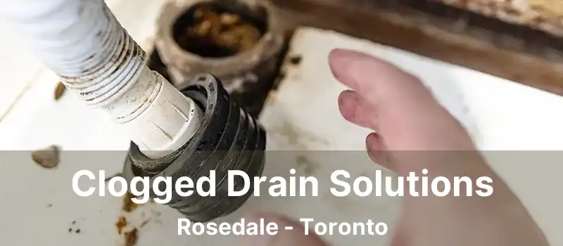  Clogged Drain Solutions Rosedale - Toronto