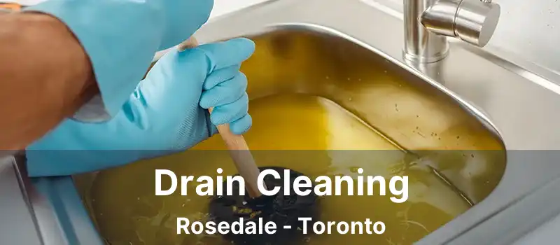  Drain Cleaning Rosedale - Toronto