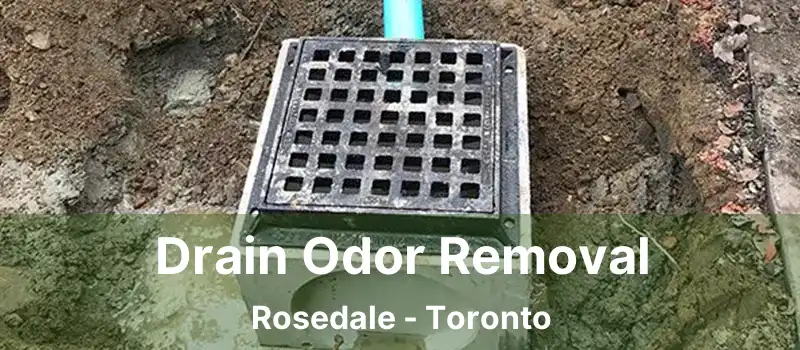  Drain Odor Removal Rosedale - Toronto