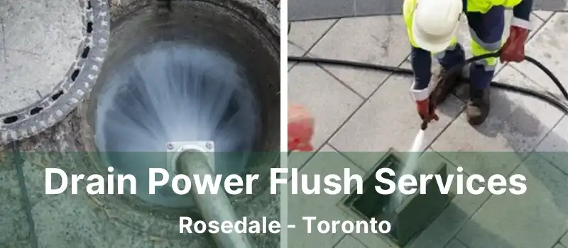  Drain Power Flush Services Rosedale - Toronto