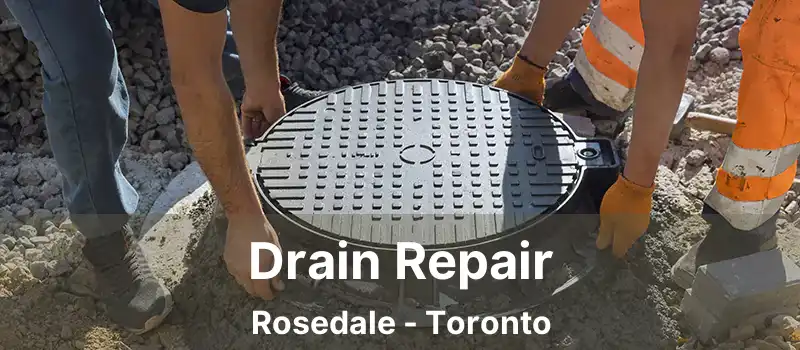  Drain Repair Rosedale - Toronto