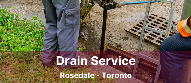  Drain Service Rosedale - Toronto