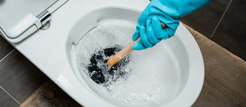 Commercial Clogged Drain Solutions in Rosedale, Toronto