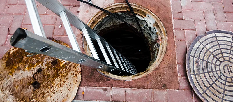 Drain Maintenance Service Near Me in Rosedale, Toronto