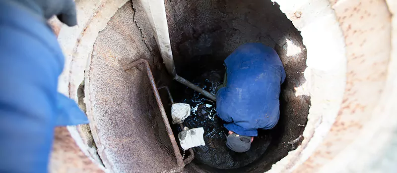 Trenchless Sewer & Drain Repair in Rosedale, Toronto