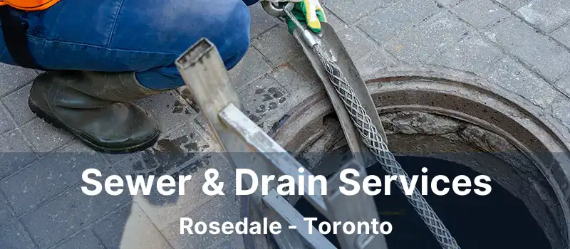  Sewer & Drain Services Rosedale - Toronto