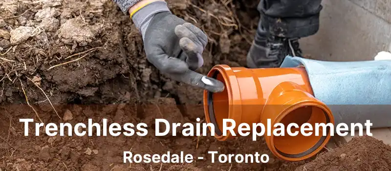  Trenchless Drain Replacement Rosedale - Toronto